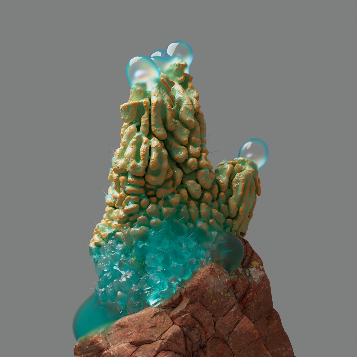 Proxima Kosmos