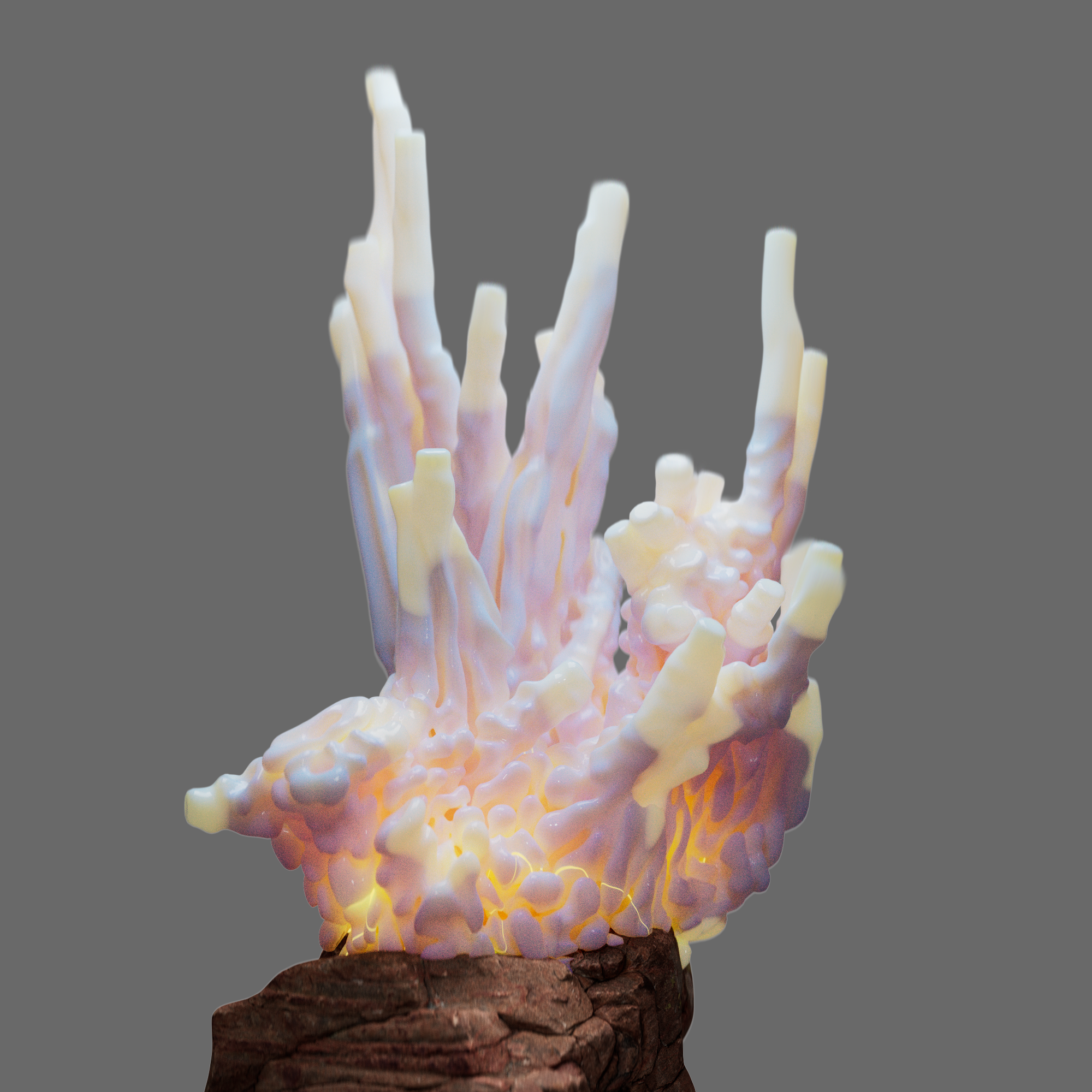 Proxima Kosmos